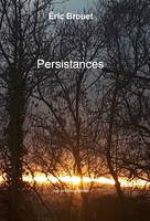 Persistances