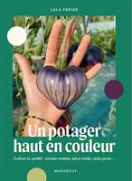 Un potager haut en couleur, Cultiver la variété : tomate violette, laitue rosée, radis jaune