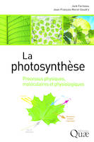 La photosynthèse, Processus physiques, moléculaires et physiologiques