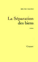 La séparation des biens, roman