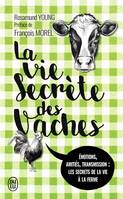 La vie secrète des vaches