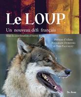 Le loup / un nouveau défi français