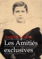 Les Amitiés exclusives (roman gay)