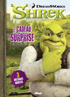 2, Shrek, Le cadeau surprise