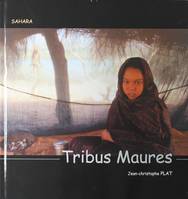 Tribus maures, Sahara