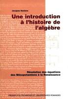 Une introduction à l'histoire de l'algèbre, résolutions des équations des Mésopotamiens à la Renaissance