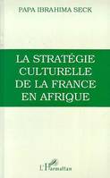 La stratégie culturelle de la France en Afrique