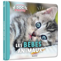 Les bébés animaux