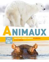 ANIMAUX