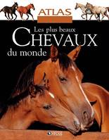 COFFRET EQUITATION + CHEVAUX DU MONDE, Atlas pratique de l'équitation, Mon cheval, mon poney