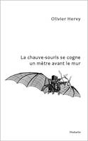 La chauve-souris se cogne un mètre avant le mur, Et autres considérations