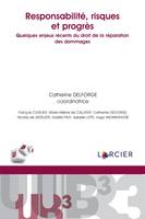 Responsabilité, risques et progrès, Quelques enjeux du droit de la réparation des dommages