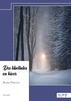 Des libellules en hiver