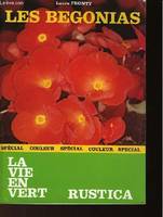 Les Begonias