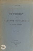 Contribution à la préhistoire sud-marocaine, La collection Terrasson