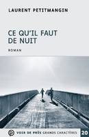 Ce qu'il faut de nuit, Roman