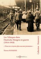 Les Tchèques dans l’Autriche-Hongrie en guerre (1914-1918), « Nous ne croyons plus aucune promesse »