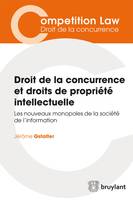 Droit de la concurrence et droits de propriété intellectuelle, Les nouveaux monopoles de la société de l'information