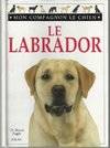 Le labrador