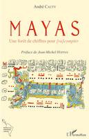 Mayas, Une forêt de chiffres pour <em>[ra]compter</em>