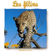 FELINS (LES)