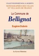 Monographie de la commune de Bellignat