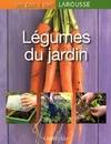 Légumes du jardin