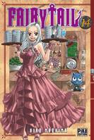 14, Fairy Tail