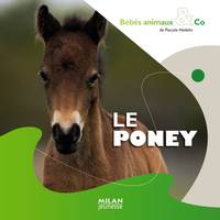 LE PONEY BEBES ANIMAUX & CO -