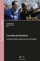 L'accident de Fukushima, Le Premier ministre du Japon face à la crise nucléaire