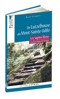 De Lutzelhouse au Mont-Sainte-Odile, Les sapins bleus