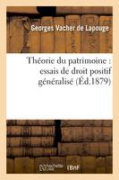 Théorie du patrimoine : essais de droit positif généralisé (Éd.1879)