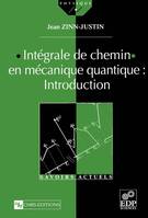 Intégrale de chemin en mécanique quantique: introduction