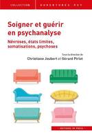 Soigner et guérir en psychanalyse, Névroses, états limites, somatisations, psychoses