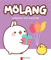 Mölang, Molang prépare une surprise