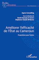 Améliorer l'efficacité de l'Etat au Cameroun, Propositions pour l'action