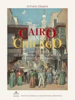 Cairo in Chicago, Cairo street at the world's columbian exposition of 1893