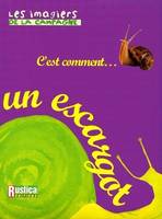 C'est comment un escargot