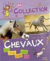 TOUT SUR LES CHEVAUX