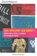 Que veulent les gays ?, Essai sur le sexe, le risque et la subjectivité