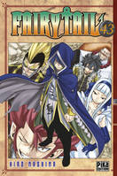 43, Fairy Tail