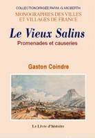 Le vieux Salins - promenades et causeries, promenades et causeries