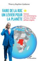 Faire de la RDC un levier pour la planète, Itinéraire d'un chef d'entreprise, en France, et homme politique congolais