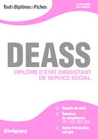 DEASS Diplôme d'état d'assistant de service social