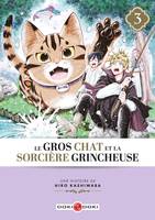 3, Le Gros Chat et la Sorcière grincheuse - vol. 03