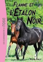 17, L'Étalon Noir 17 - Flamme et l'Étalon Noir