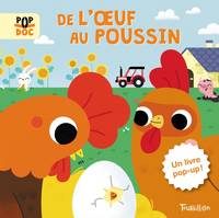 Pop doc, De l'oeuf au poussin - Pop up