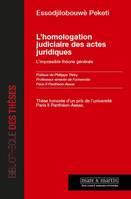 L'homologation judiciaire des actes juridiques, L'impossible théorie générale