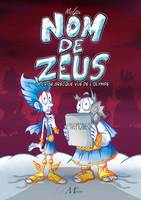 Nom de Zeus - La crise grecque vue de l'Olympe