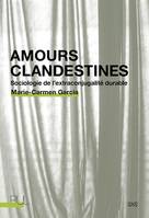 Amours clandestines, Sociologie de l'extraconjugalité durable